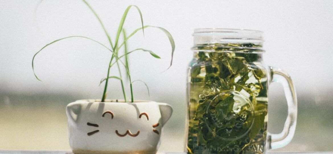 13 Habits to Help You Adopt a Zero Waste Lifestyle