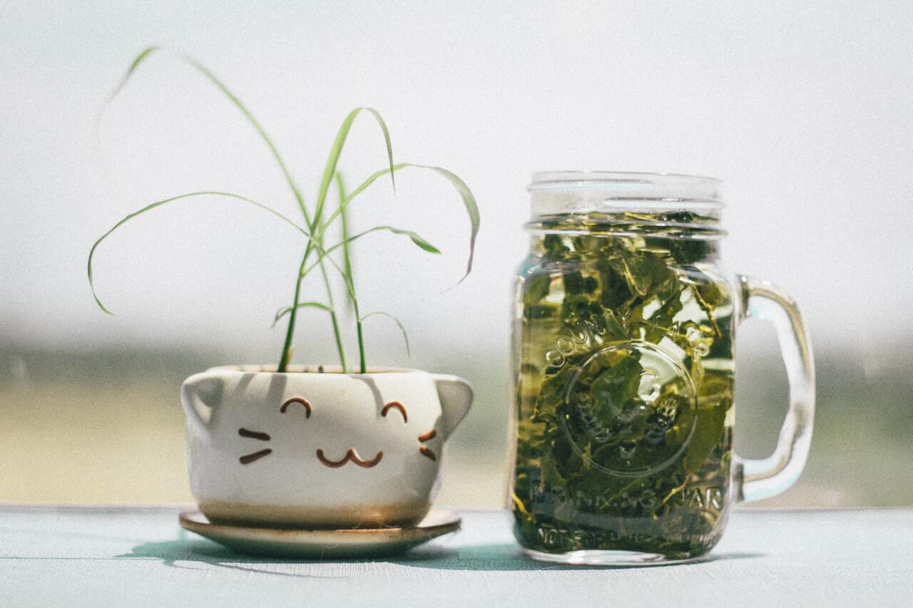 13 Habits to Help You Adopt a Zero Waste Lifestyle
