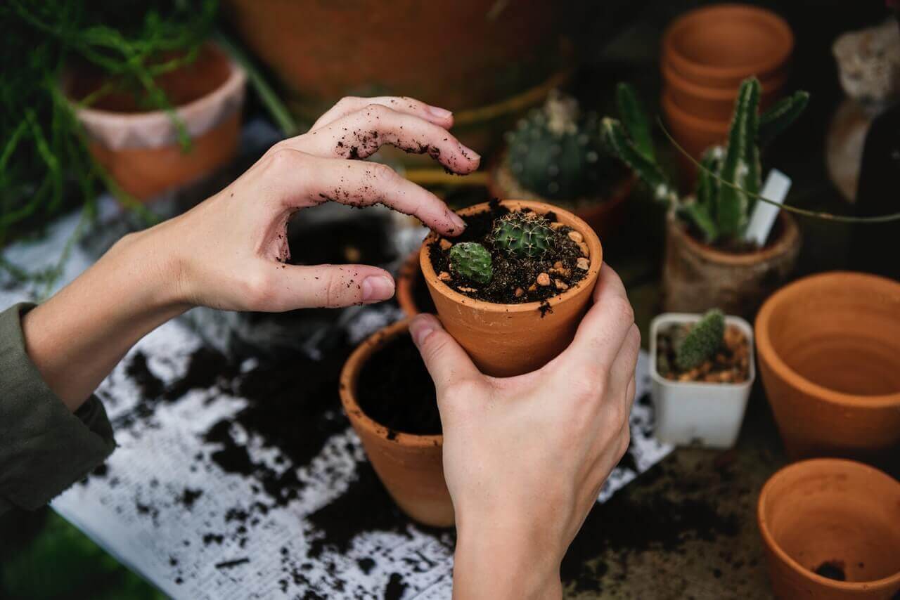 Compost Your Clothing at Home