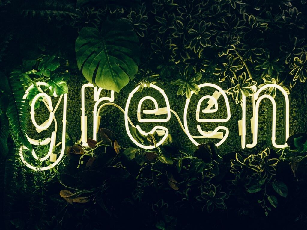 best eco-friendly products in the USA